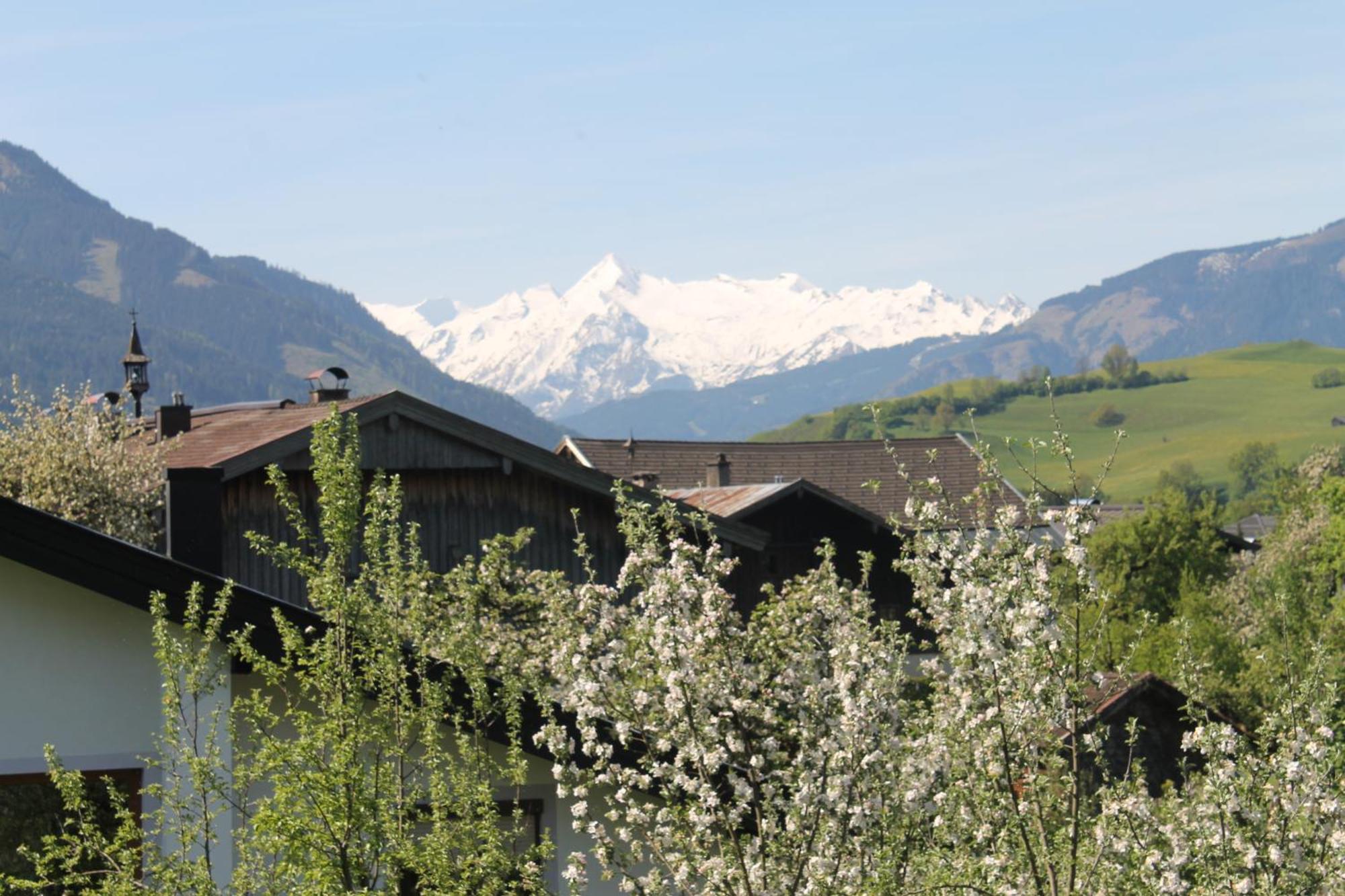 Haus Hartl Otel Saalfelden Dış mekan fotoğraf