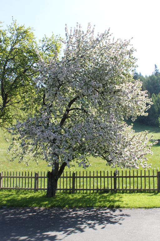 Haus Hartl Otel Saalfelden Dış mekan fotoğraf